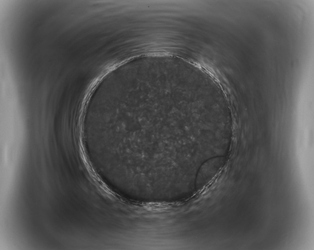 X0000087610145200704271347