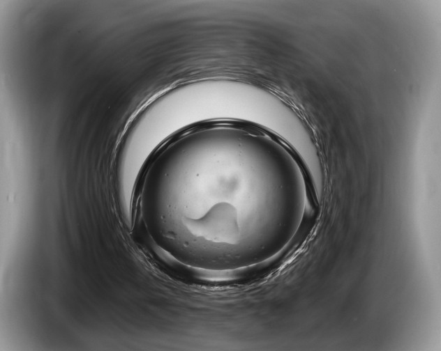 X0000087610146200704271347