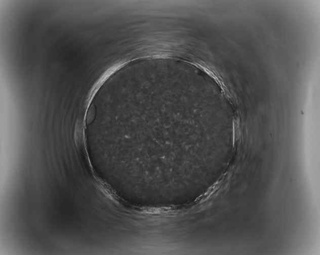 X0000087610147200704271347