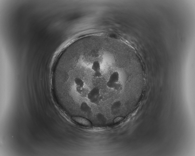 X0000087610149200704271347