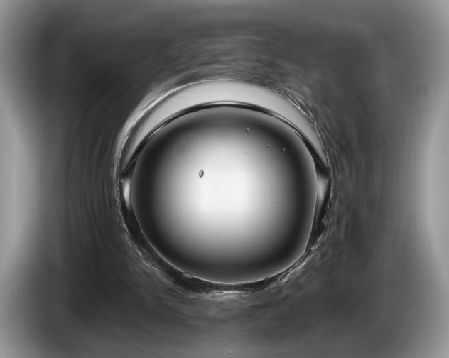 X0000087610150200704271347