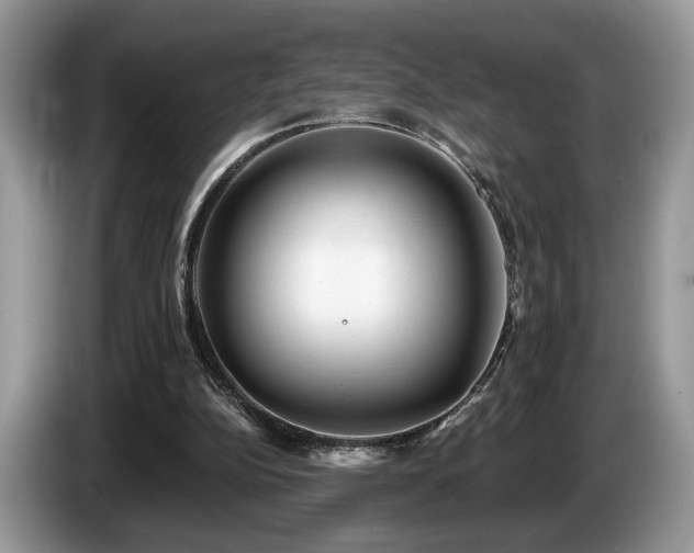 X0000087610152200704271347