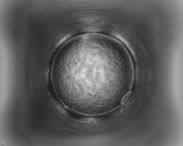 X0000087610153200704271347