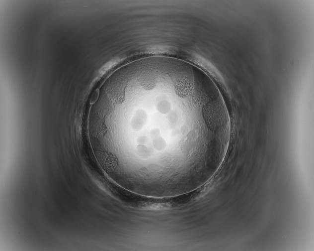 X0000087610155200704271347