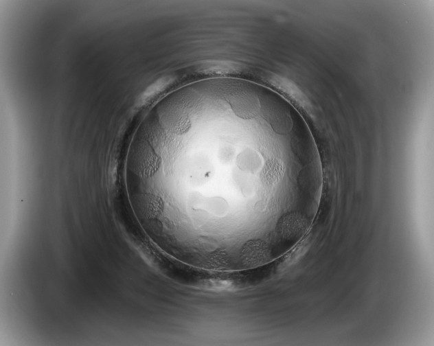 X0000087610159200704271347