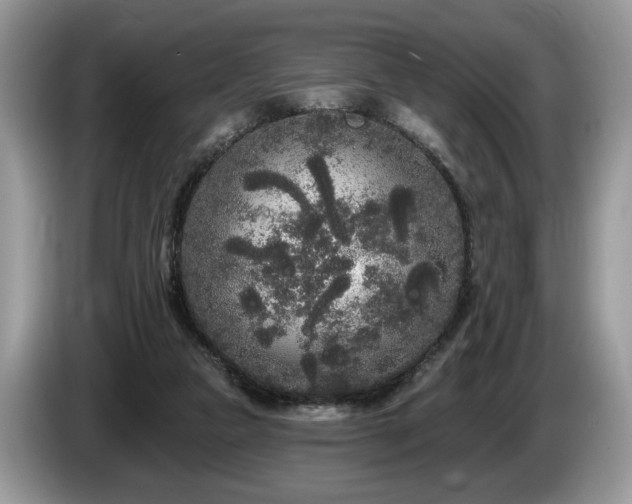 X0000087610161200704271347