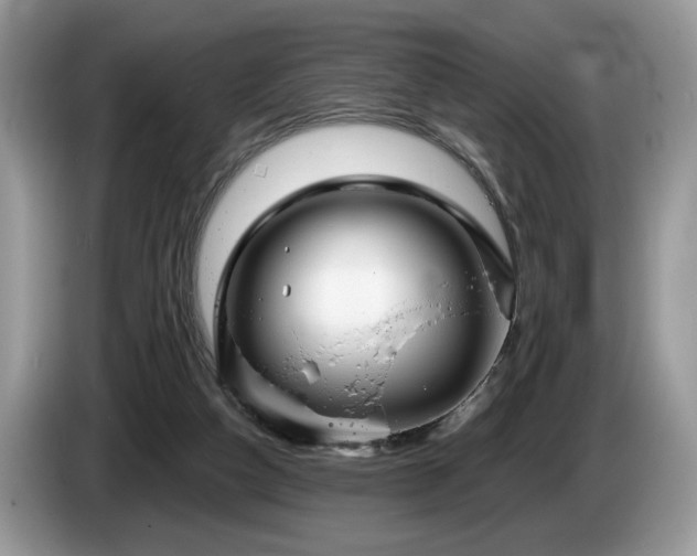 X0000087610162200704271347
