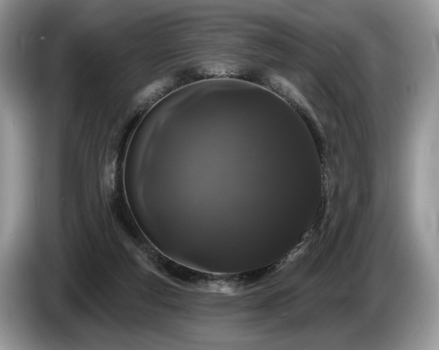 X0000087610163200704271347