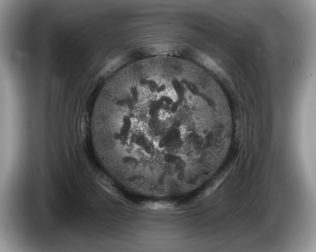 X0000087610165200704271347