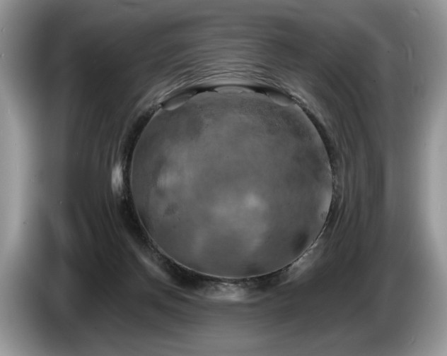 X0000087610166200704271347