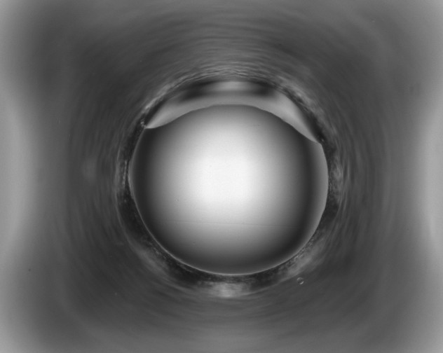 X0000087610168200704271347