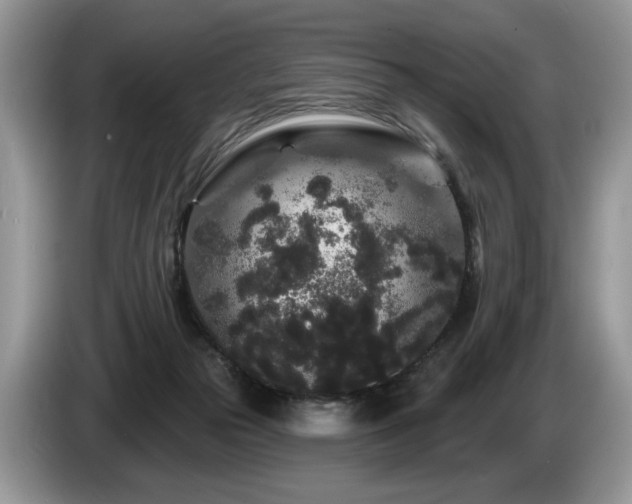 X0000087610169200704271347