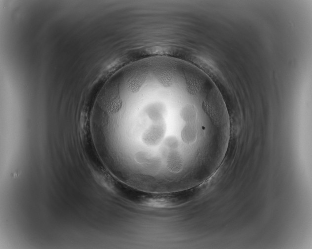 X0000087610171200704271347