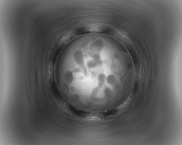 X0000087610175200704271347
