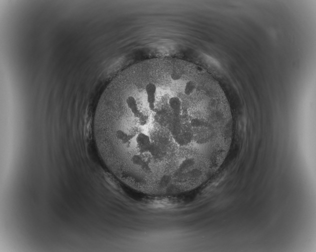 X0000087610177200704271347