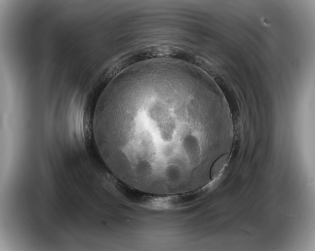 X0000087610178200704271347