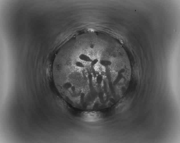 X0000087610181200704271347