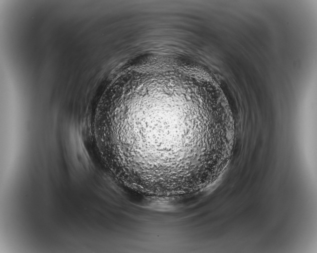 X0000087610182200704271347