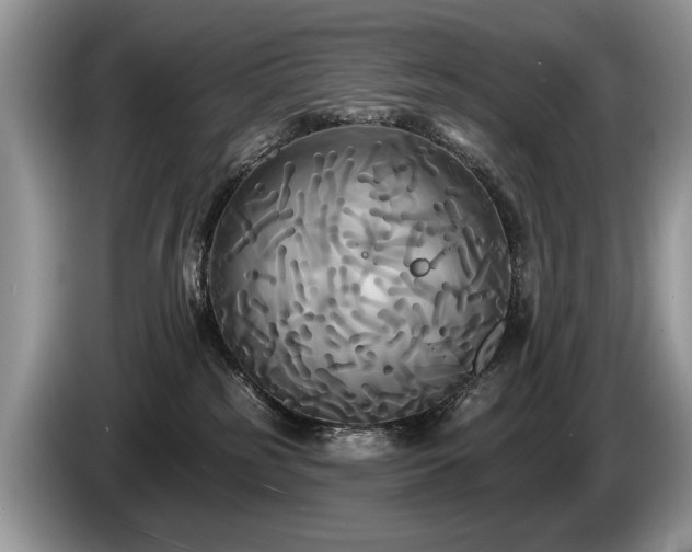 X0000087610185200704271347
