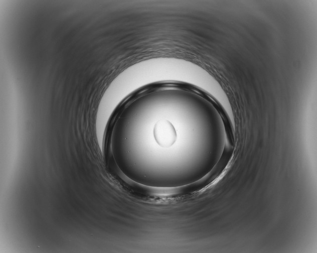X0000087610186200704271347