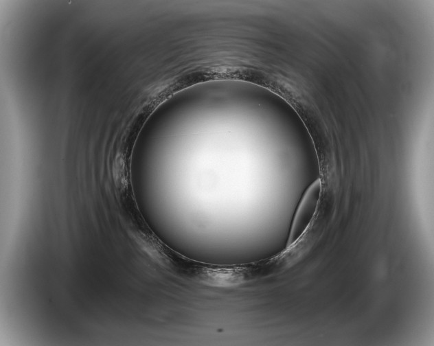 X0000087610187200704271347