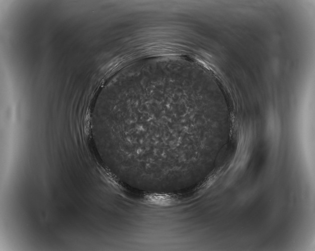 X0000087610189200704271347