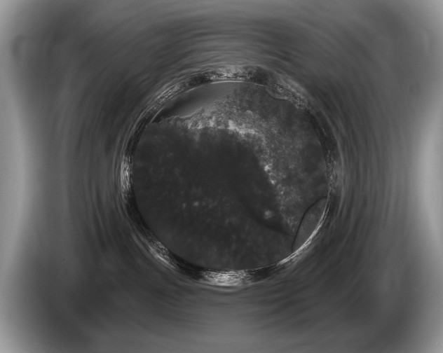 X0000087610191200704271347