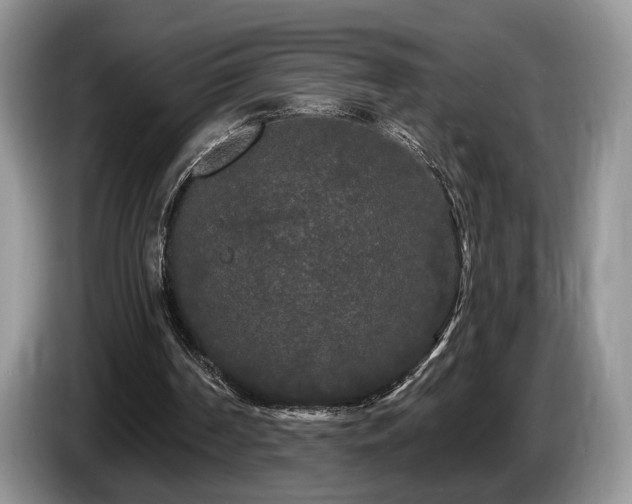 X0000087610194200704271347