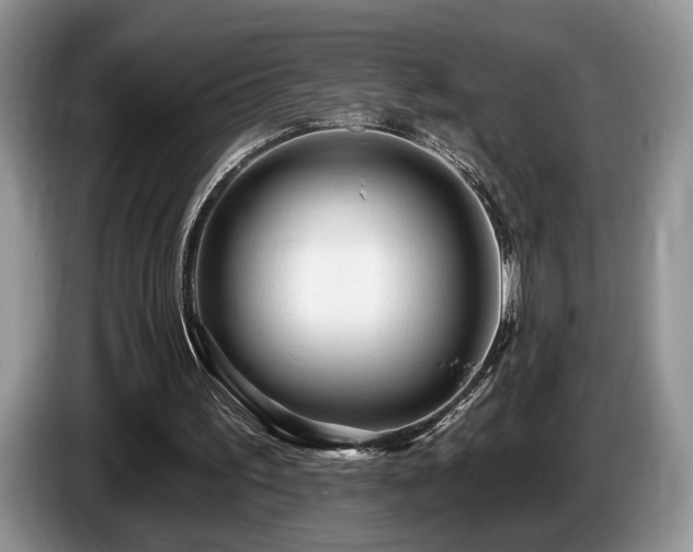 X0000087610195200704271347