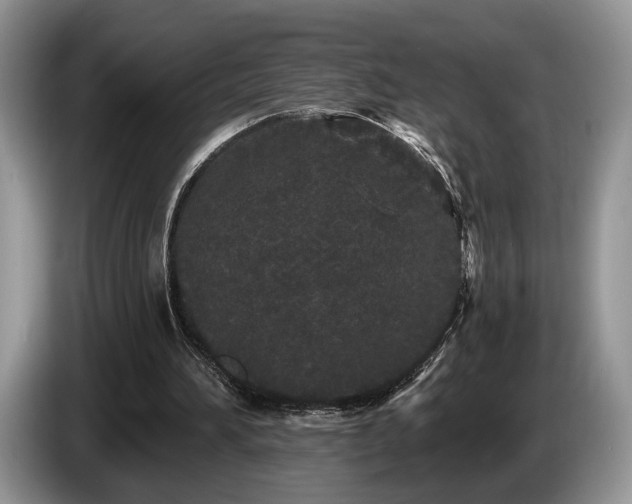 X0000087610196200704271346