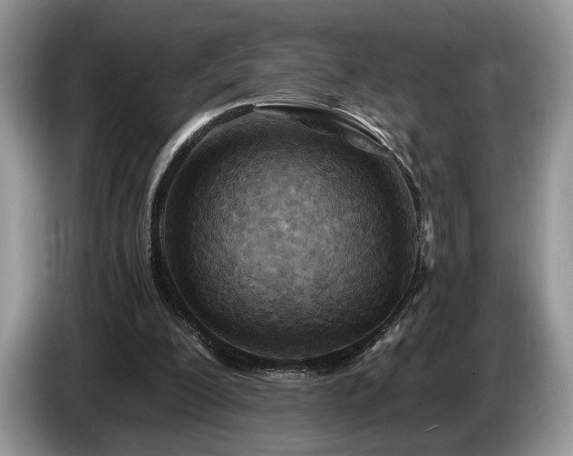 X0000087610200200704271346