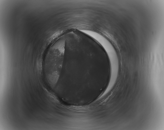X0000087610202200704271346