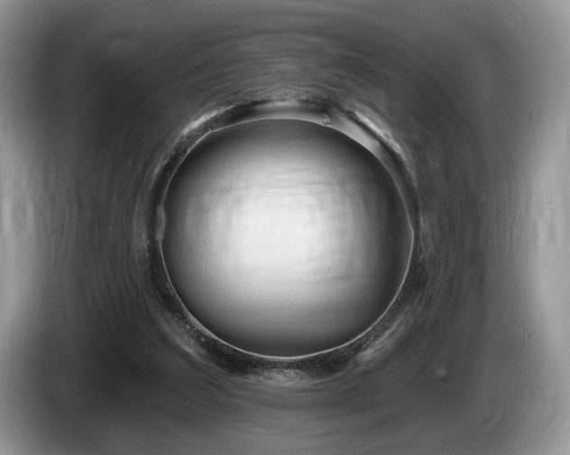 X0000087610203200704271346
