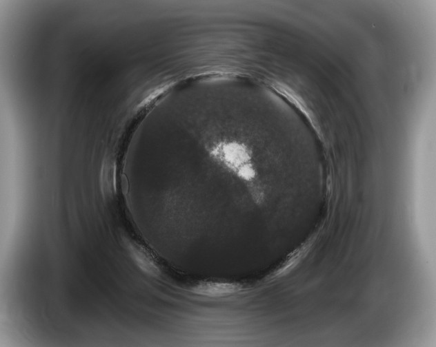 X0000087610205200704271346