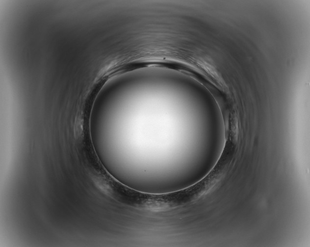 X0000087610207200704271346