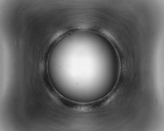 X0000087610208200704271346