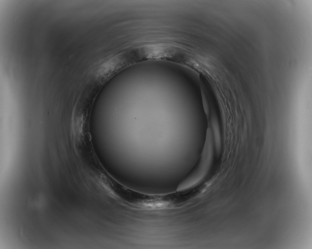 X0000087610219200704271346