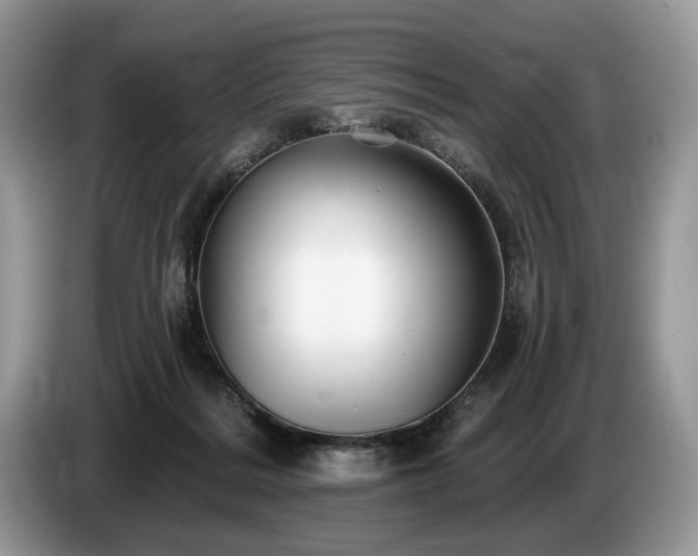 X0000087610220200704271346