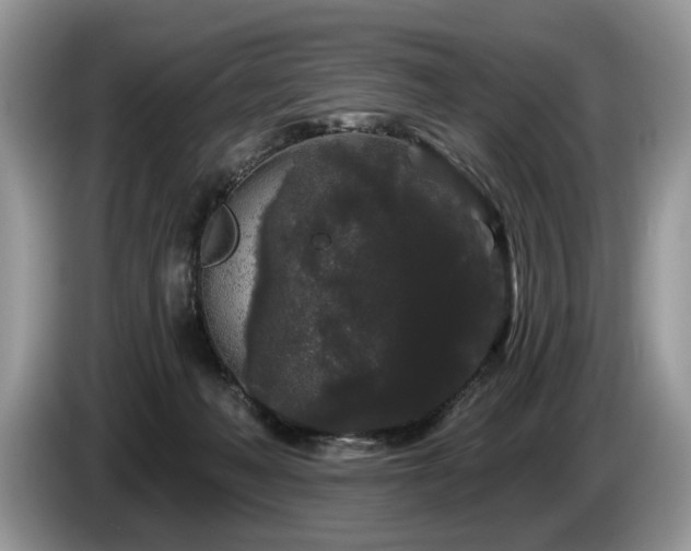 X0000087610222200704271346