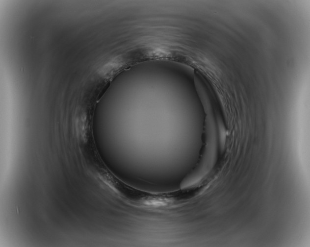 X0000087610223200704271346