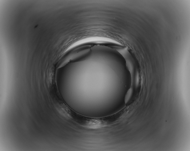 X0000087610227200704271346