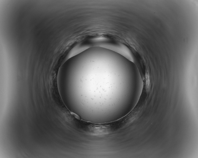 X0000087610229200704271346