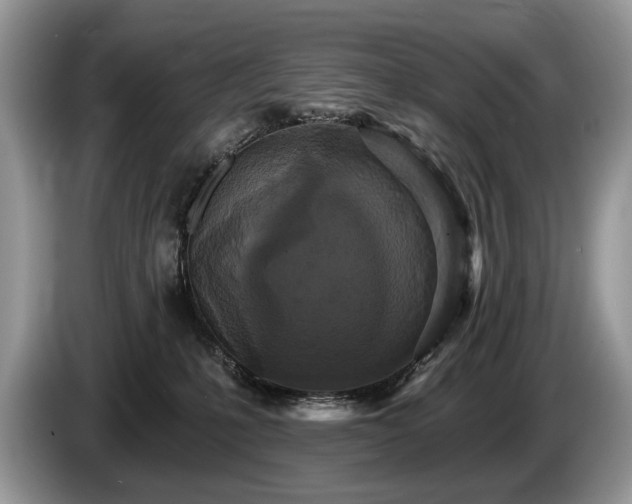 X0000087610231200704271346