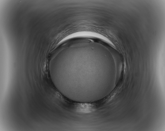 X0000087610233200704271346