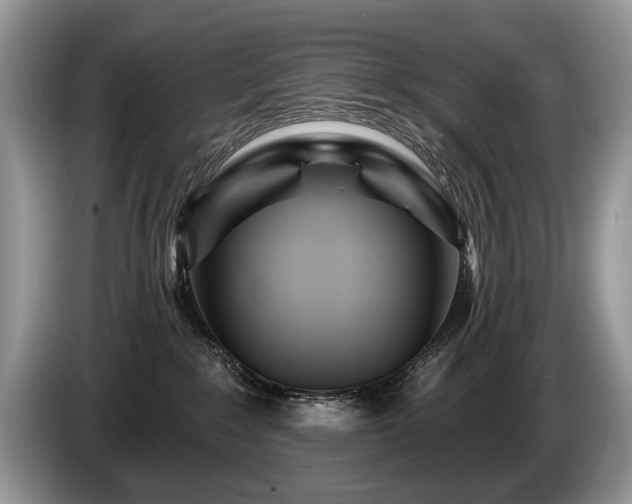 X0000087610235200704271346
