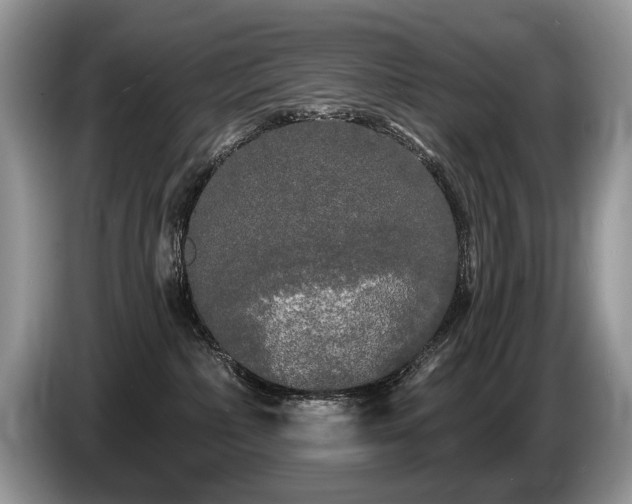 X0000087610236200704271346
