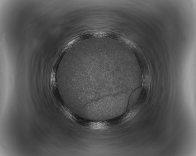 X0000087610238200704271346