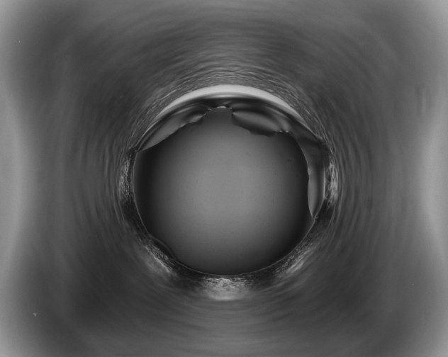 X0000087610239200704271346