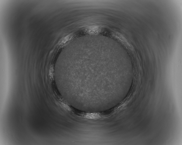 X0000087610240200704271346