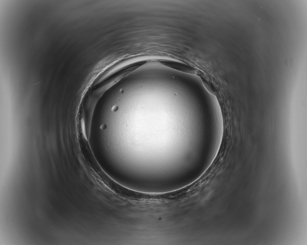 X0000087610242200704271345